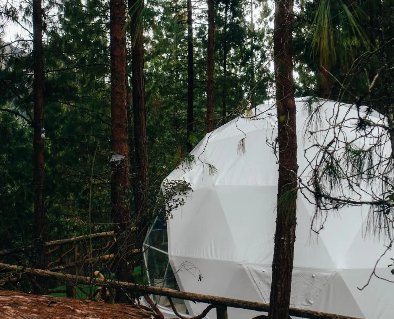El Sendero Glamping Hotel Cuenca Luksustelt
